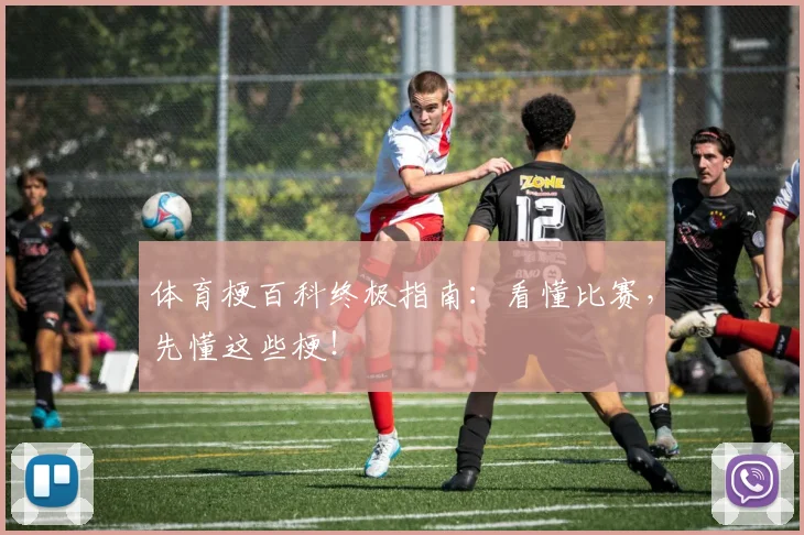 体育梗百科终极指南：看懂比赛，先懂这些梗！